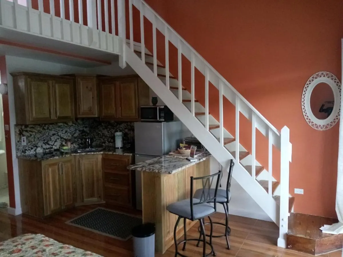 Hideaway By The Sea Apartment Montego Bay Jamaica